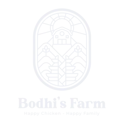 Digital Marketing Agency Bali 666d0e1b08ffff78a6c68f86 bodhi s farm 256