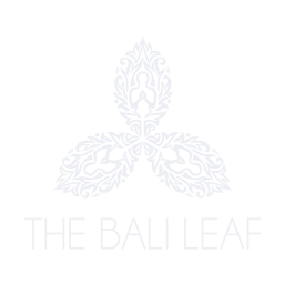 Digital Marketing Agency Bali 666d0e1b2b95b2282b8dfc32 bali leaf 256
