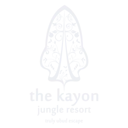 Digital Marketing Agency Bali 66793837d9fb2dc20a950c1f kayon jungle 256