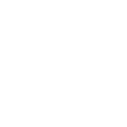 Digital Marketing Agency Bali Behind The Green Door