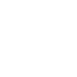 Digital Marketing Agency Bali The Naked Tiger Bali